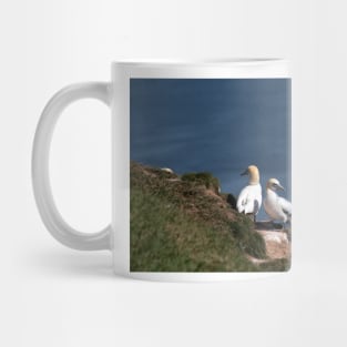 Pair of gannets at Bempton Cliffs Mug